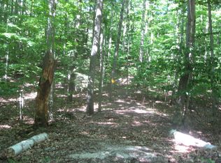 Mountain Rd, Rapid City, MI 49676