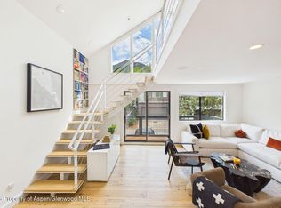 915 E Hopkins Ave APT 4, Aspen, CO 81611