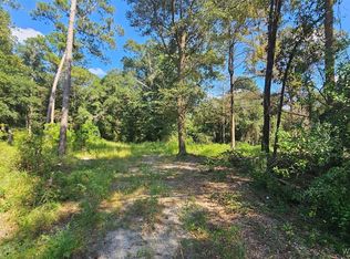 LOT 1 County Road 61, Ozark, AL 36360