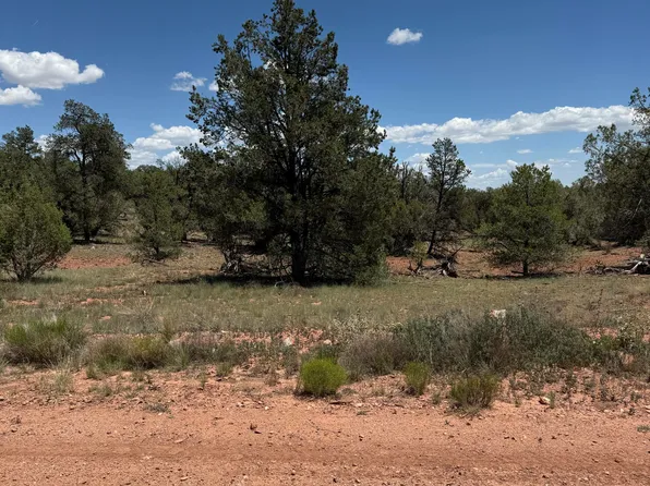 56045 N Mesa Pkwy, Seligman, AZ 86337