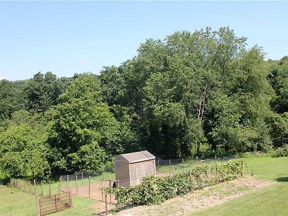 View of the chickens!