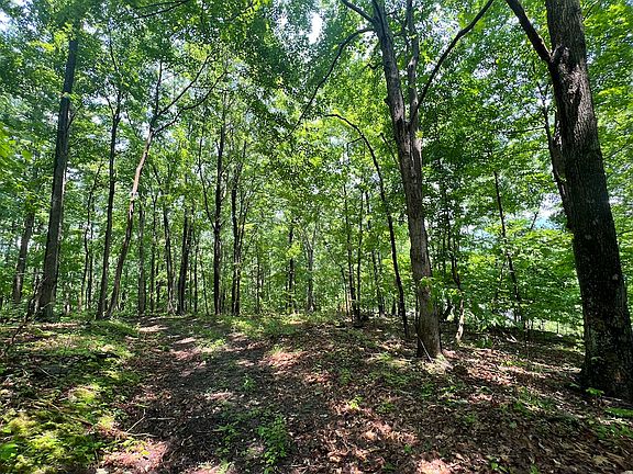 4th image of Robertson Mountain Rd Lot Wp001