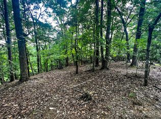 0 Whitney Blvd LOT 124, Lake Lure, NC 28746