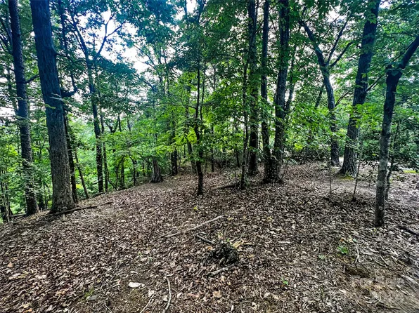 0 Whitney Blvd Lot 124, Lake Lure, NC 28746