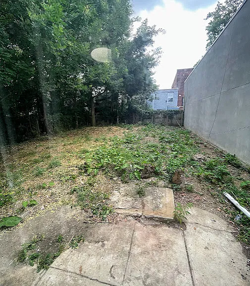 Large Backyard
