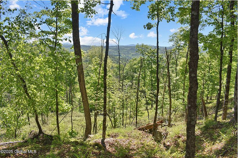 5th image of 364 Pease Hill Road