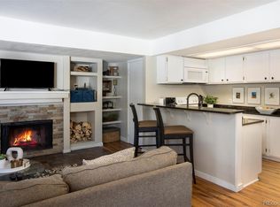 373 Wild Irishman Rd, Dillon, CO 80435