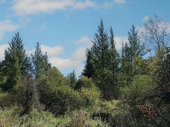 12 Town, Danbury, WI 54830