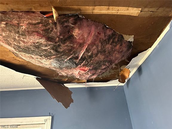 5th image of 844 Clifford Ave