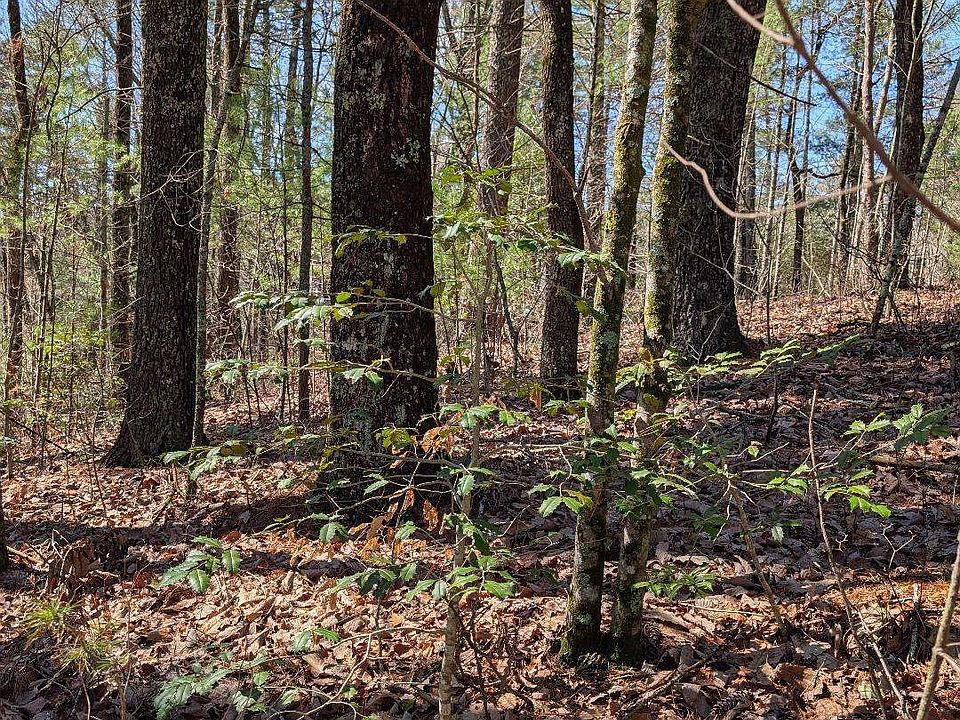 1st image of 0 Amber Ln