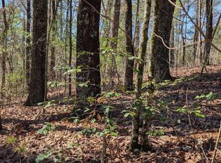 0 Amber Ln, Ellijay, GA 30540