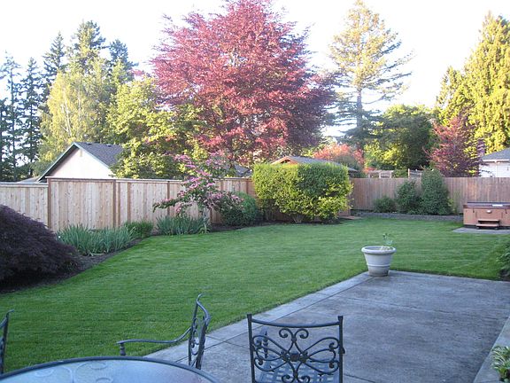 Large, flat backyard.