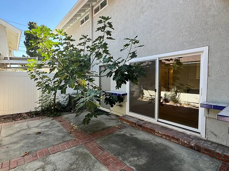 1 Goldenbush — Photo 18