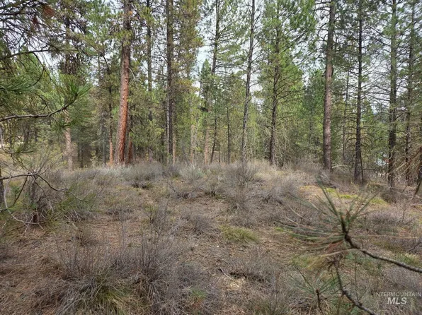 LOT 31 S Meadow Creek Dr, Idaho City, ID 83631