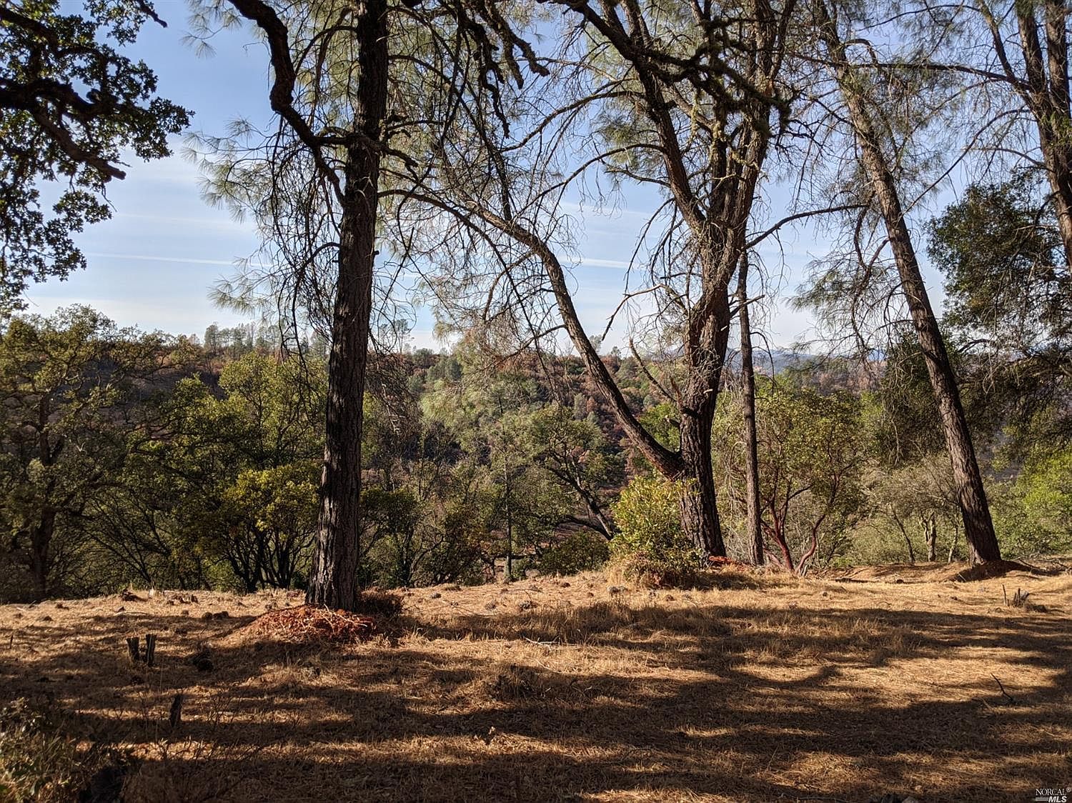 2649 Harness Dr, Pope Valley, CA 94567 Zillow