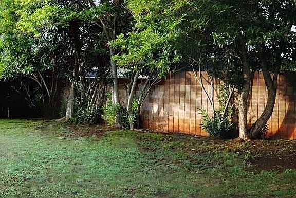 Backyard, 2