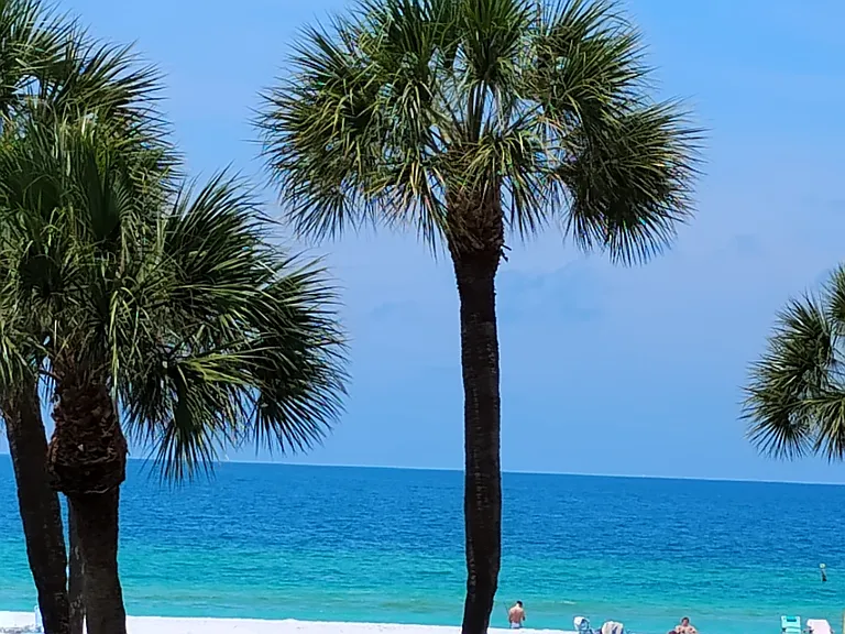 This photo of beautiful Indian Rocks beach was taken from our balcony.