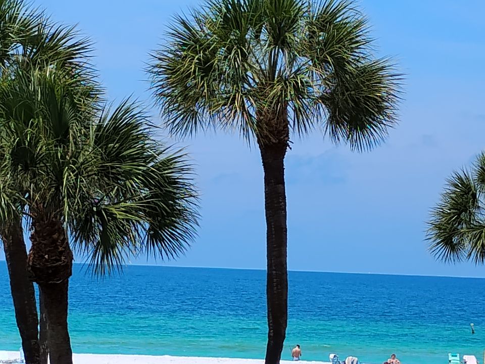 This photo of beautiful Indian Rocks beach was taken from our balcony.