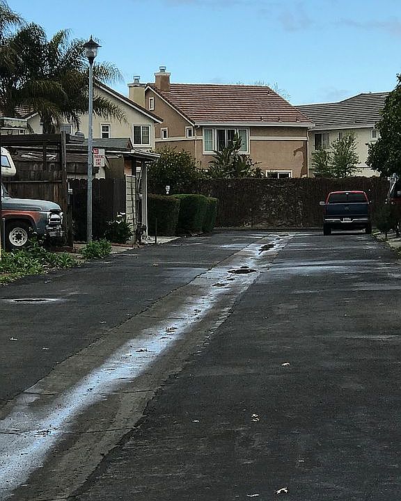 2nd image of 233 Shirley St