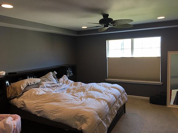 Master bed with tray ceilings