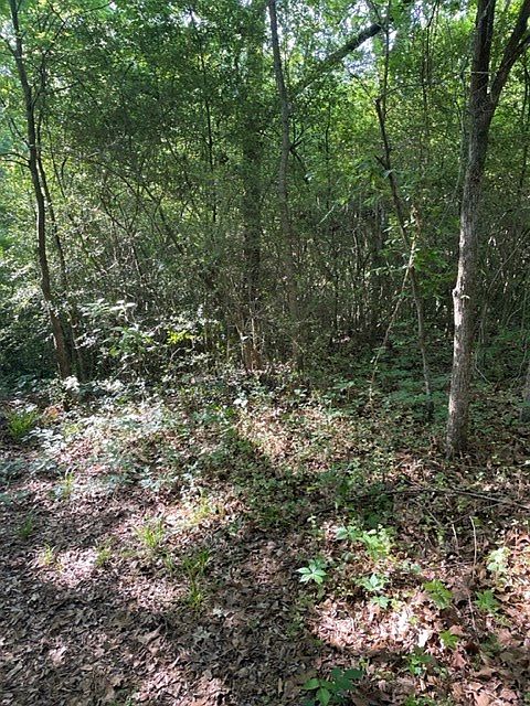 2nd image of 106 Trail Glenn Dr