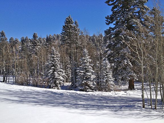 Winter In The Front Yard