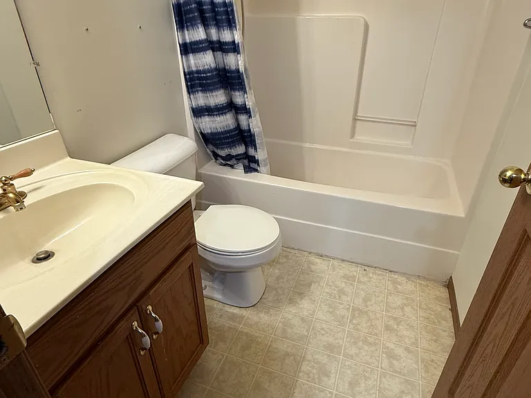Hall bathroom