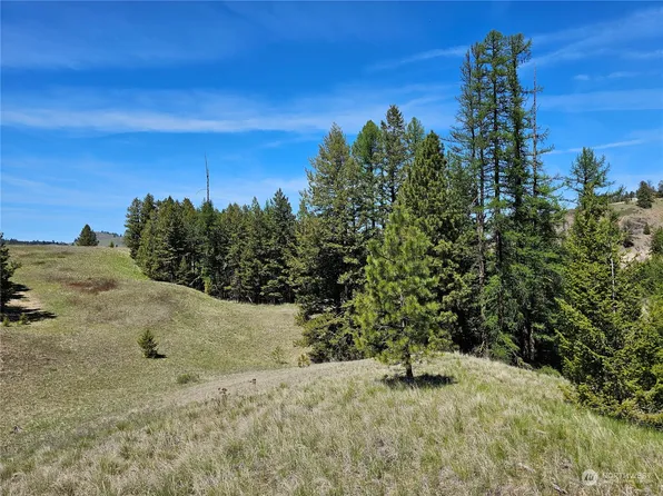 23 xx Chesaw Road, Oroville, WA 98844