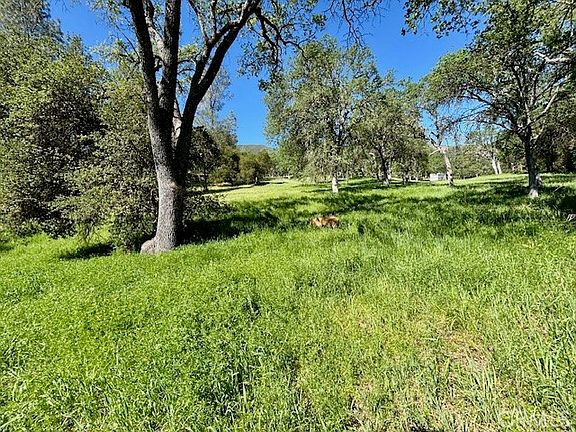 3rd image of 0 Avenue Ranch Rd Lot 4