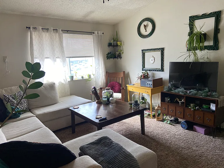 Large living area with wall a/c unit heat and water is included with the rent
