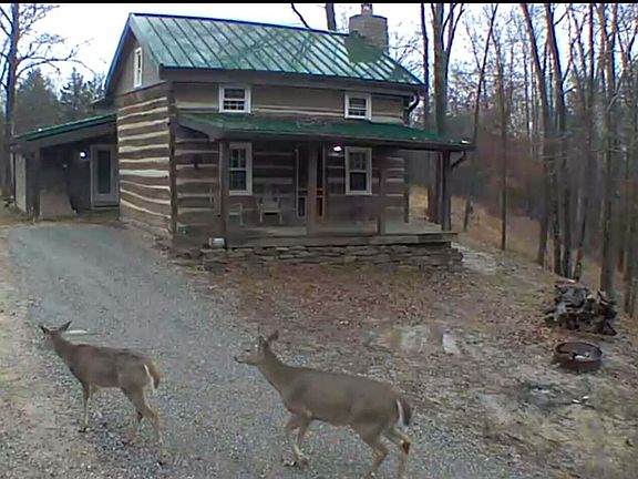 3rd image of 1248 Burke Rd