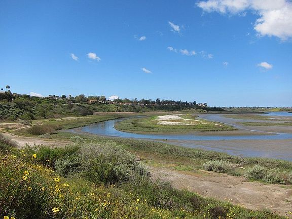 Enjoy nature in the middle of the city and the easy access to the Upper Newport Bay Ecological Reserve.