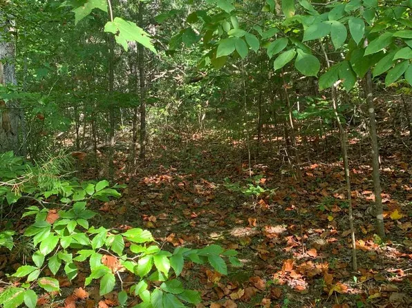 LOT 4 & 5 Peaceful Ln, Spencer, TN 38585