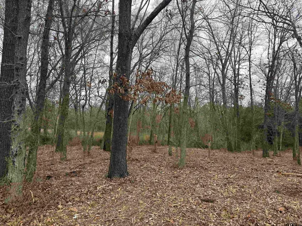 N Florence St Lot 7, Grand Saline, TX 75140