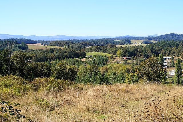 1st image of NE Forest Dr