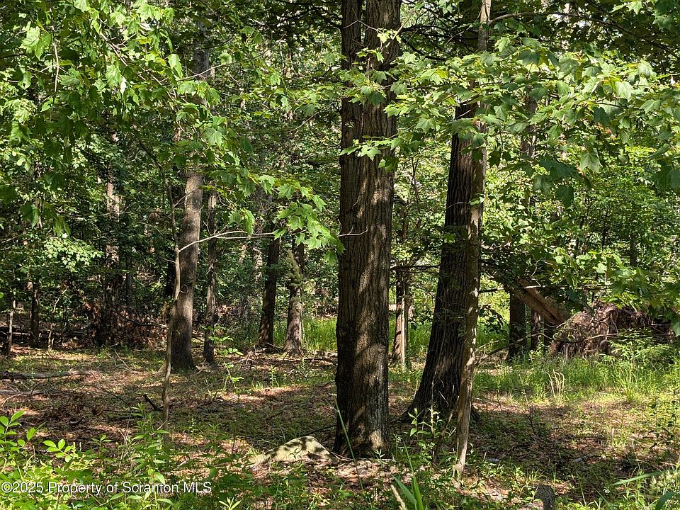 2nd image of Marginal Rd