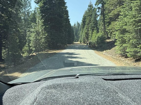 3rd image of Ozite Rd