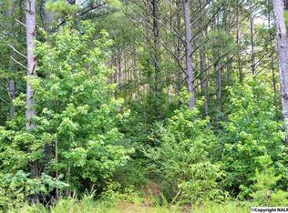 1660 New Liberty Rd, Wellington, AL 36279