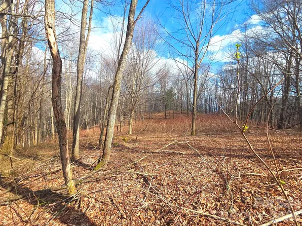 250 Rome Beauty Rd #Tr5, Waynesville, NC 28785