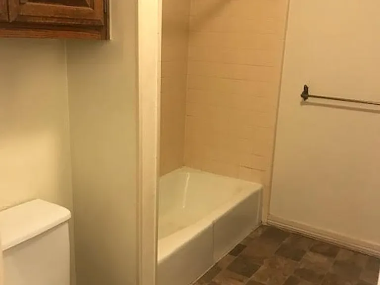 11906 Shady Trail Ln — Photo 19