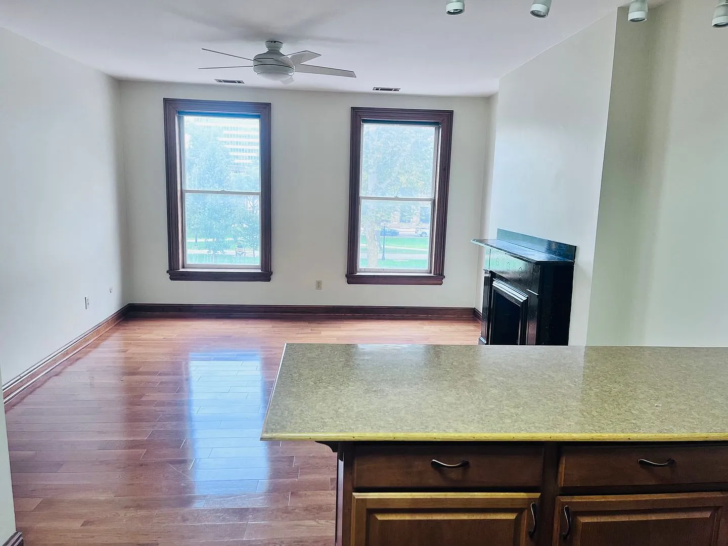 100 East North Ave — Photo 4