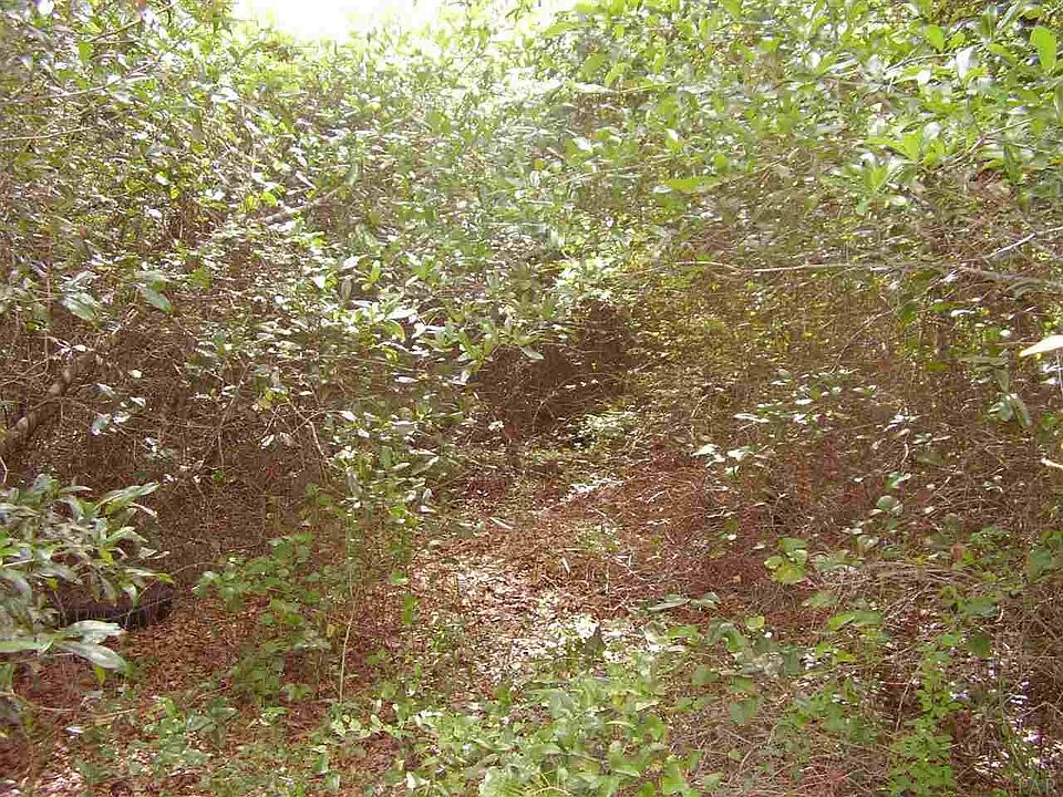 2nd image of 0 Bent Tree Rd