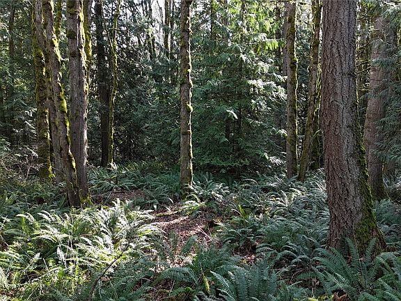 5th image of 2254 Yew Street Road