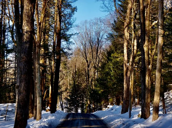 0 George Cannon Rd, Tyringham, MA 01264