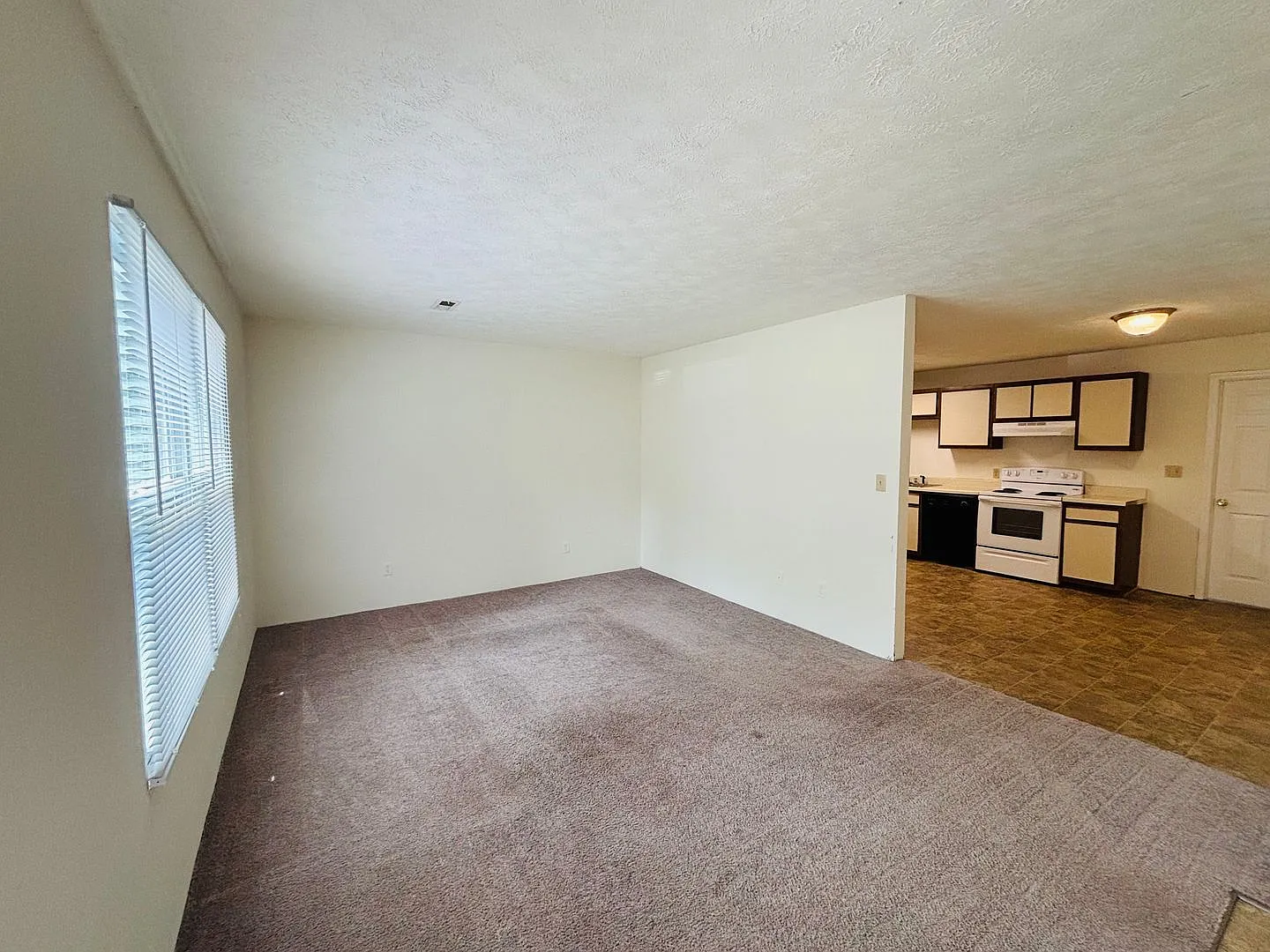 4 Bedroom 2.5 Bath Townhouse — Photo 4
