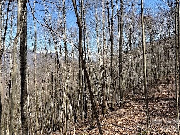 4th image of 140 Boar Ridge Rd
