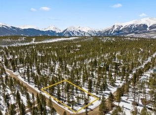 474 Peak View Dr, Twin Lakes, CO 81251