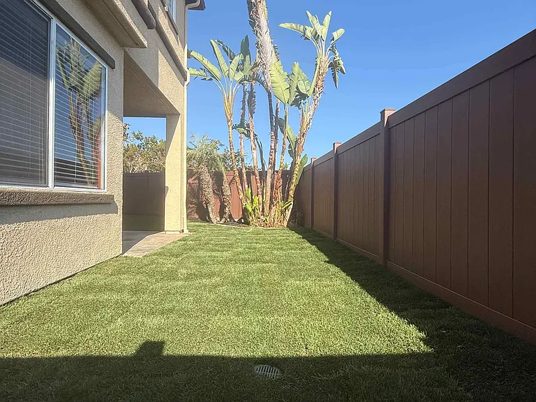 Backyard with new grass