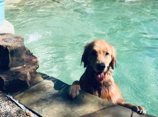 1 Wilderness Cir, Richardson, TX 75080