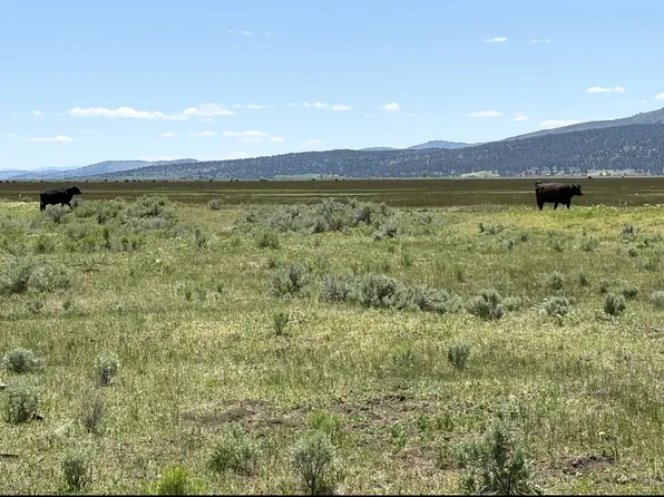 0 Widgen Dr, Madeline, CA 96119